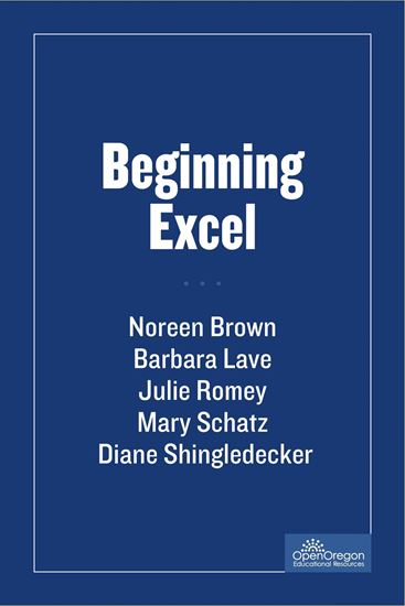Picture of Beginning Excel